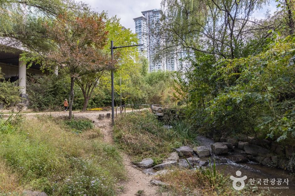 서울_여의도샛강생태공원 (13)