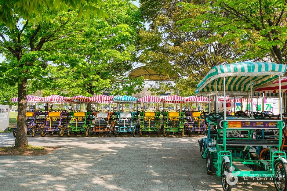 서울_여의도한강공원 (5)