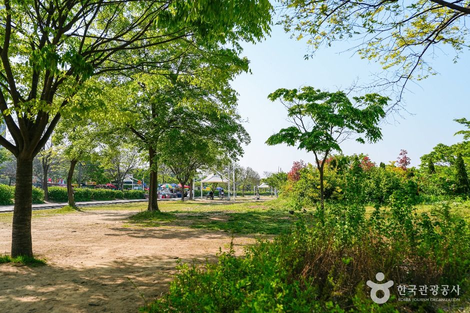 서울_여의도한강공원 멀티프라자 (3)