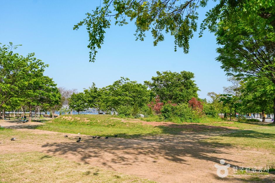 서울_여의도한강공원 멀티프라자 (5)