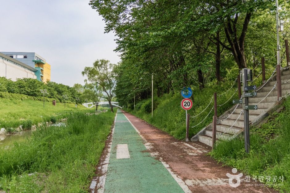 서울_여의천 (1)