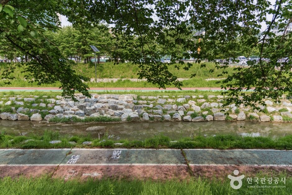 서울_여의천 (3)