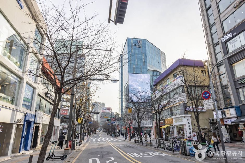 서울서대문_연세로 (4)