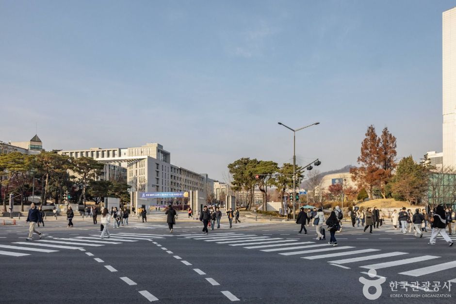 서울서대문_연세로 (6)