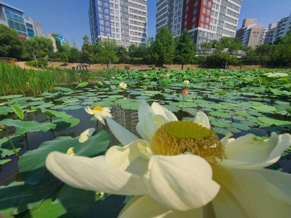 연의근린공원 (3)
