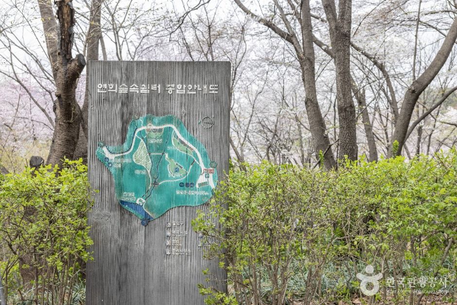 서울_연희숲속쉼터 (1)