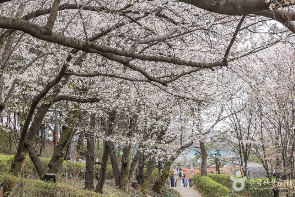 서울_연희숲속쉼터 (3)