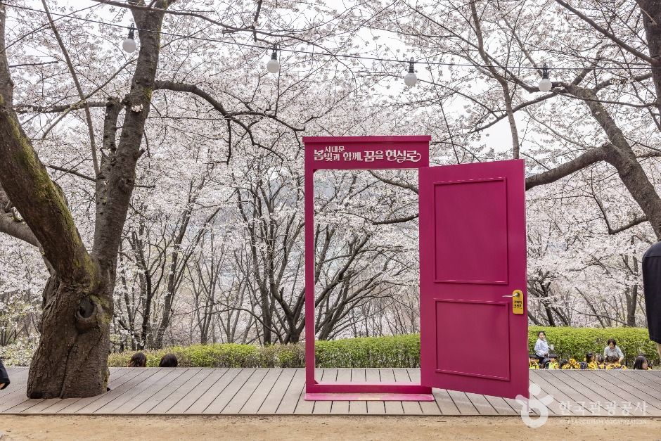 서울_연희숲속쉼터 (4)