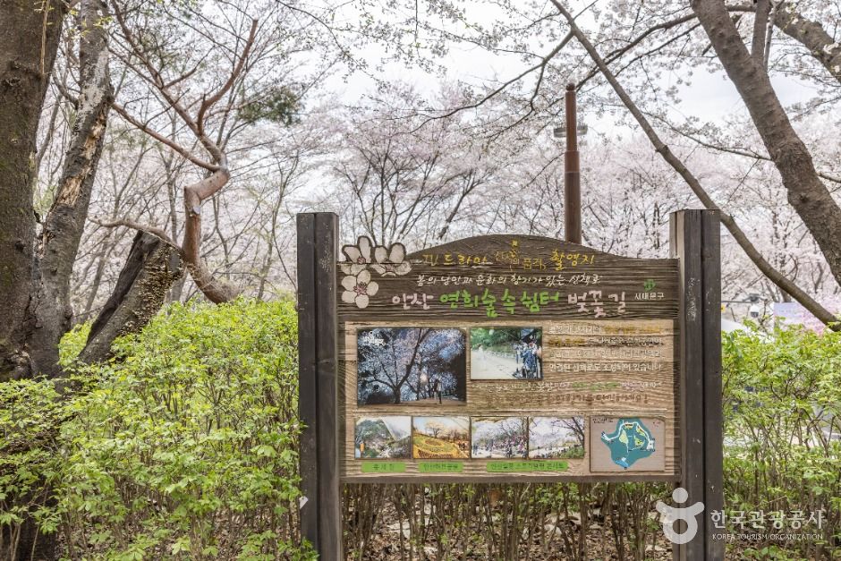 서울_연희숲속쉼터 (5)