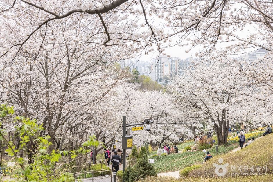 서울_연희숲속쉼터 (6)