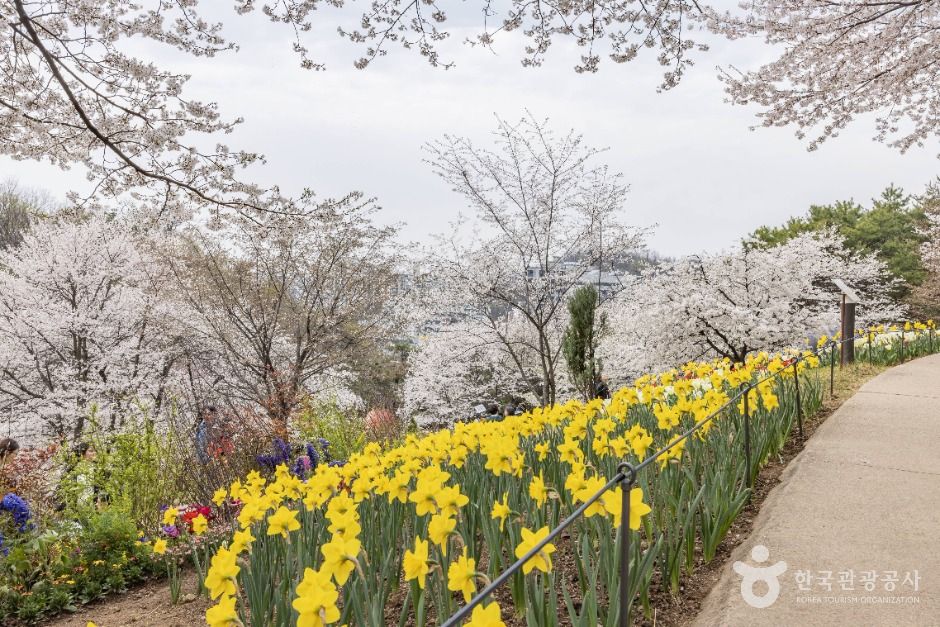 서울_연희숲속쉼터 (7)