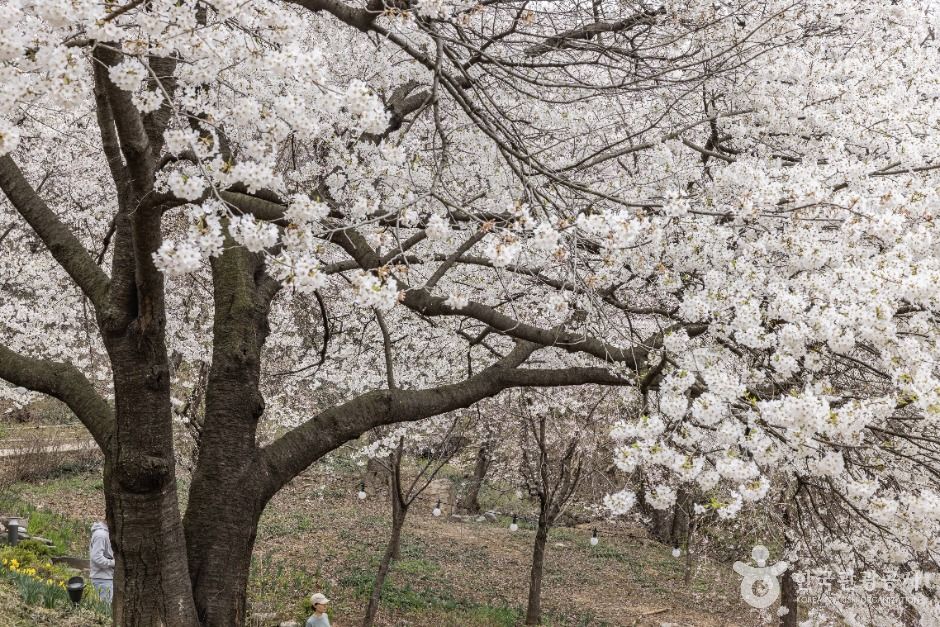 서울_연희숲속쉼터 (10)