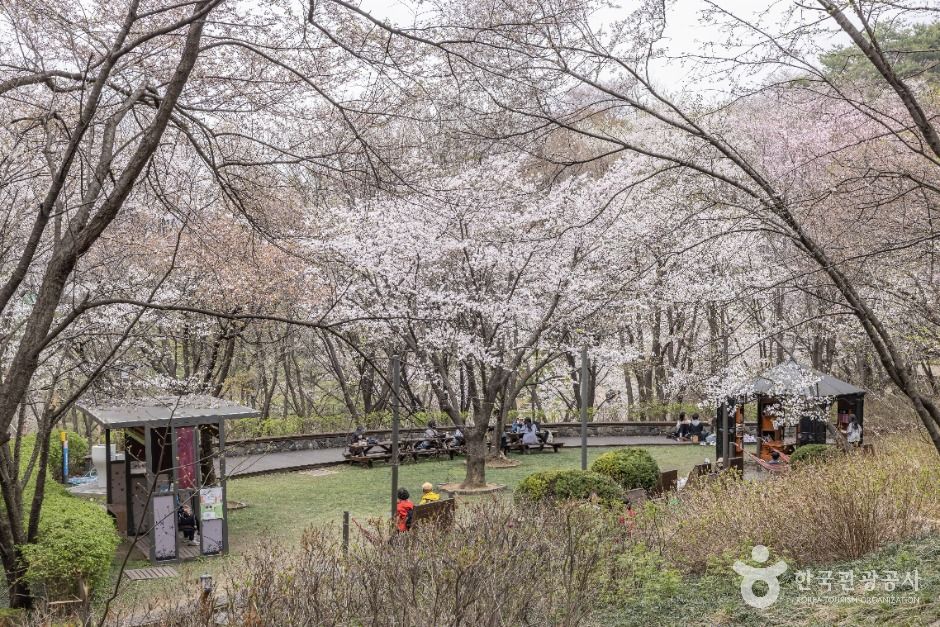 서울_연희숲속쉼터 (12)