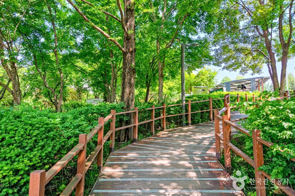 서울_영등포근린공원 (2)