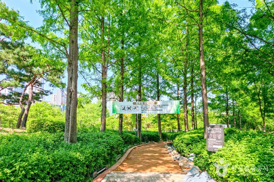 서울_영등포근린공원 (5)