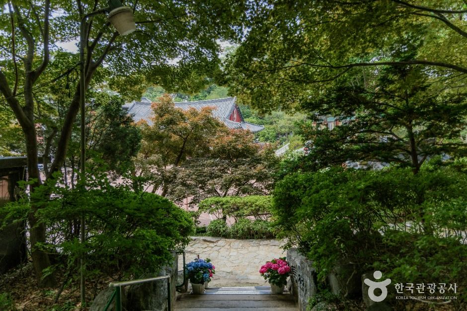 서울_영화사 (4)