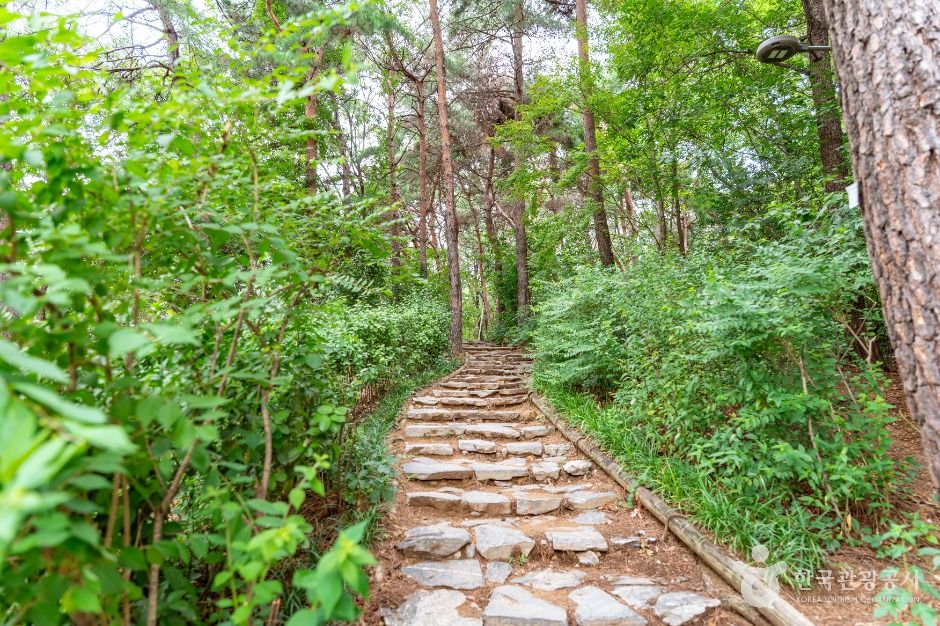 서울_오금공원 (2)