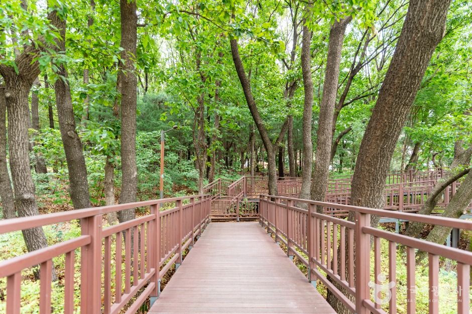 서울_오금공원 (3)