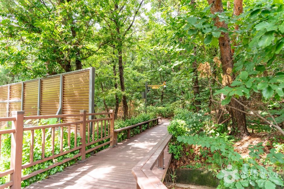 서울_오금공원 (4)