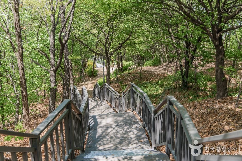 서울_오동근린공원 (4)