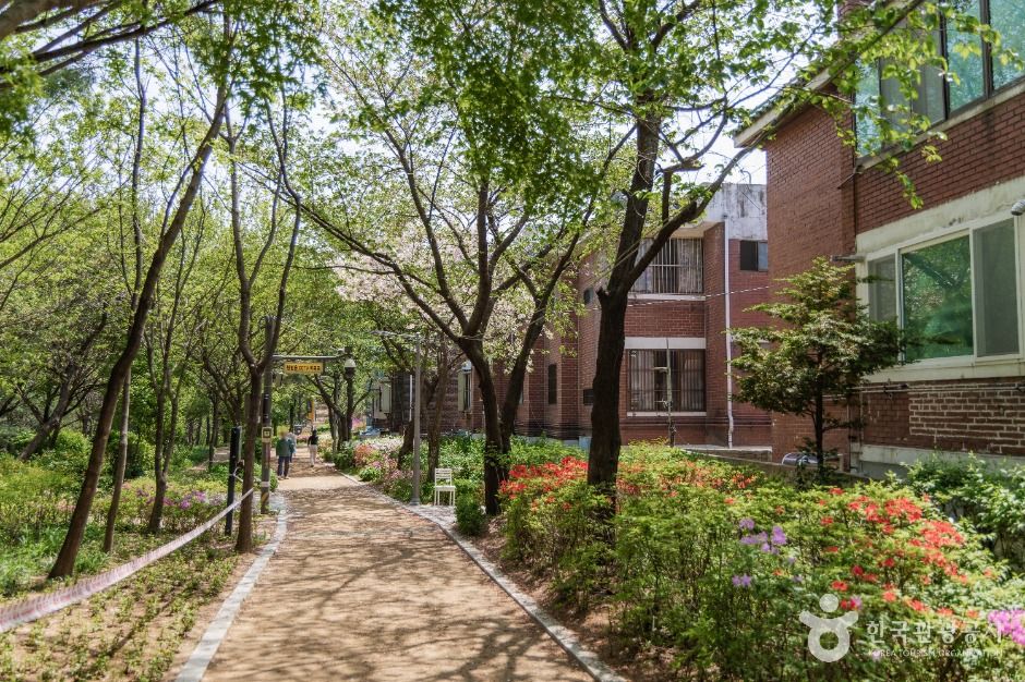 서울_오동근린공원 (5)