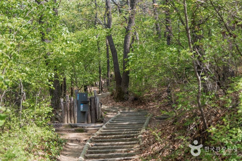 서울_오동근린공원 (7)