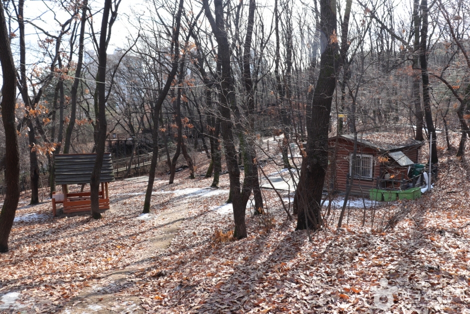 오동근린공원 유아숲체험장 (4)