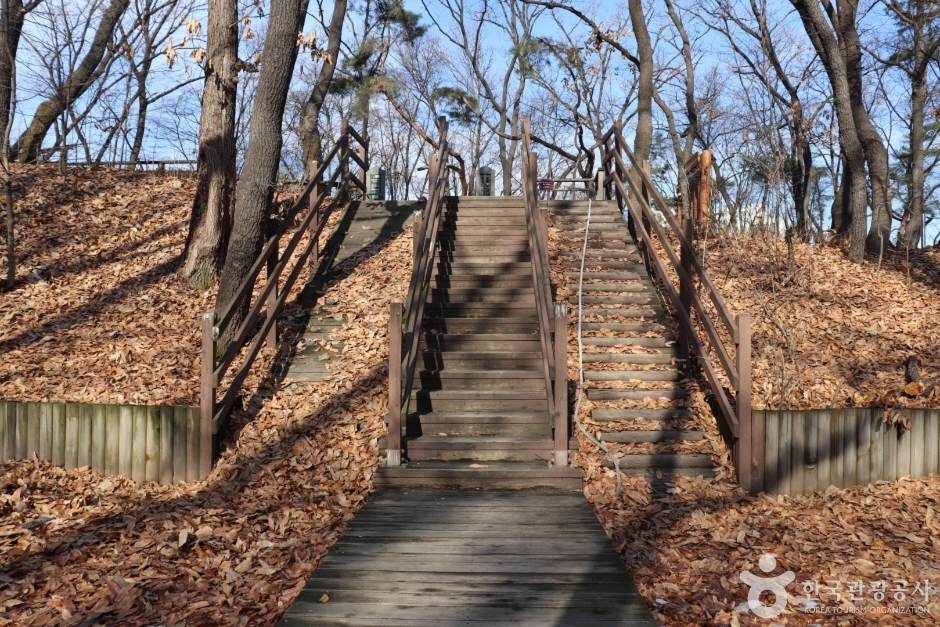 오동근린공원 유아숲체험장 (12)