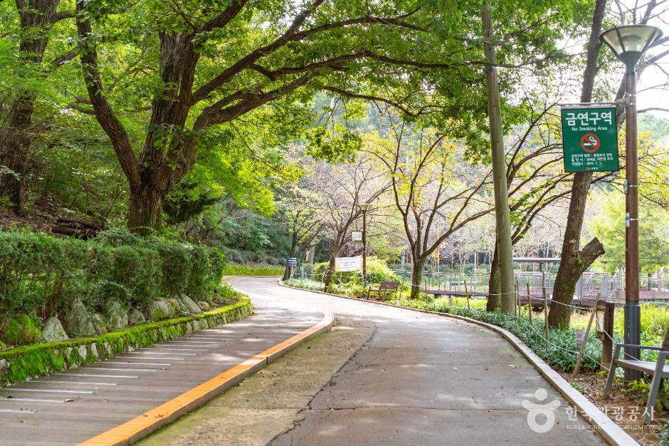 서울_온수도시자연공원(잣절공원) (4)
