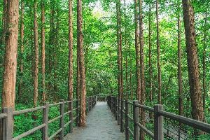 서대문 안산(안산자락길)