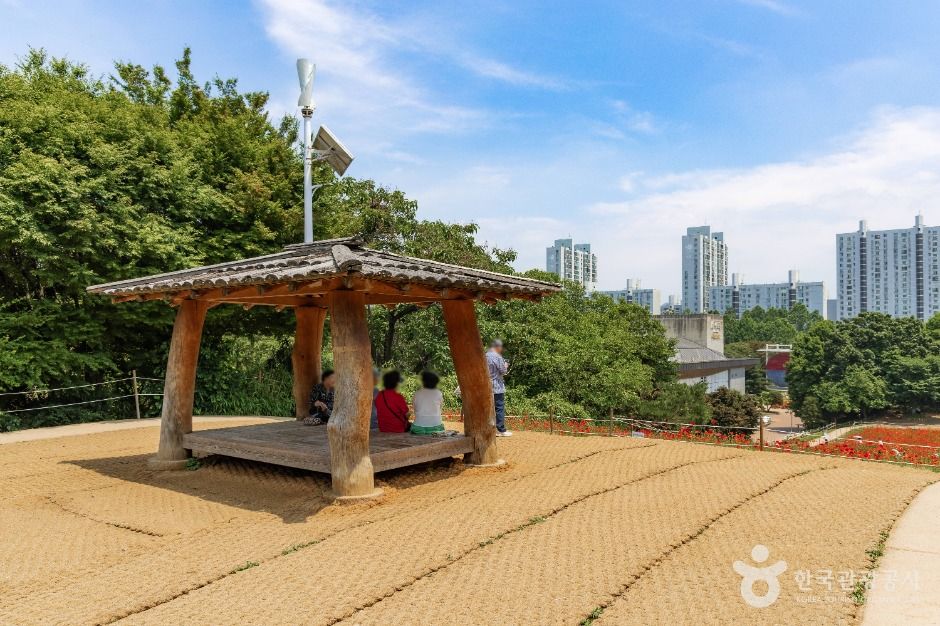 서울_올림픽공원 들꽃마루 (1)