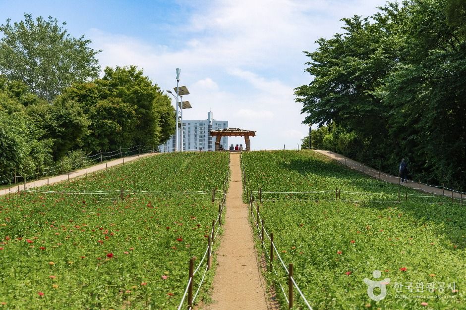 서울_올림픽공원 들꽃마루 (2)