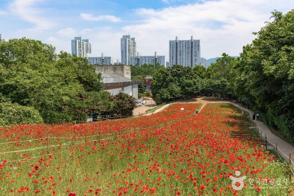 서울_올림픽공원 들꽃마루 (3)