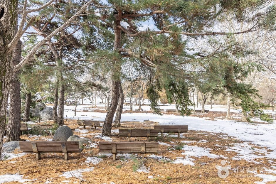 서울송파_올림픽공원피크닉장 (2)