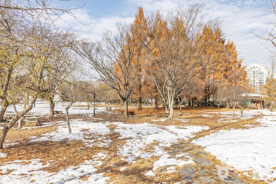 서울송파_올림픽공원피크닉장 (3)