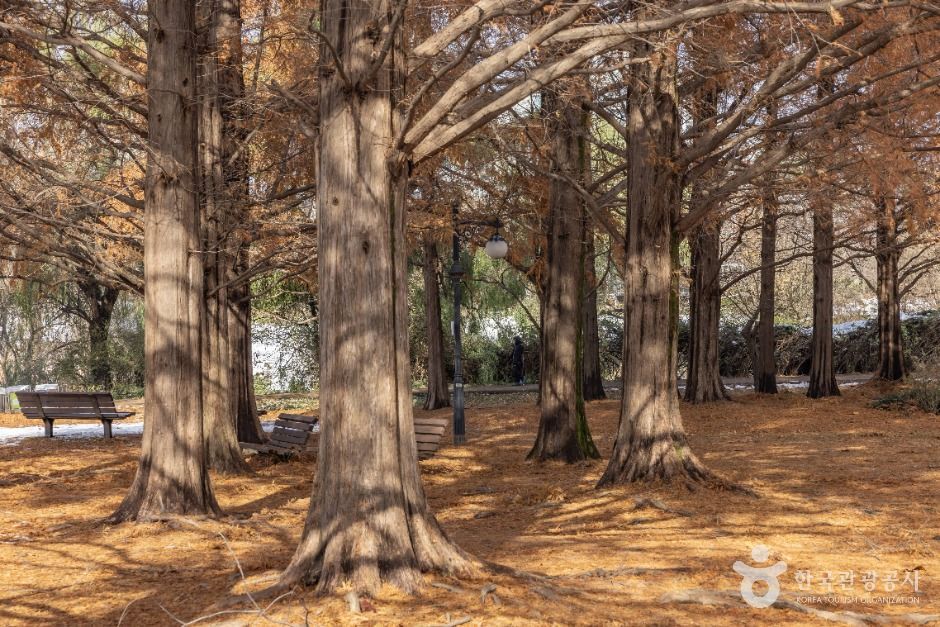 서울송파_올림픽공원피크닉장 (4)