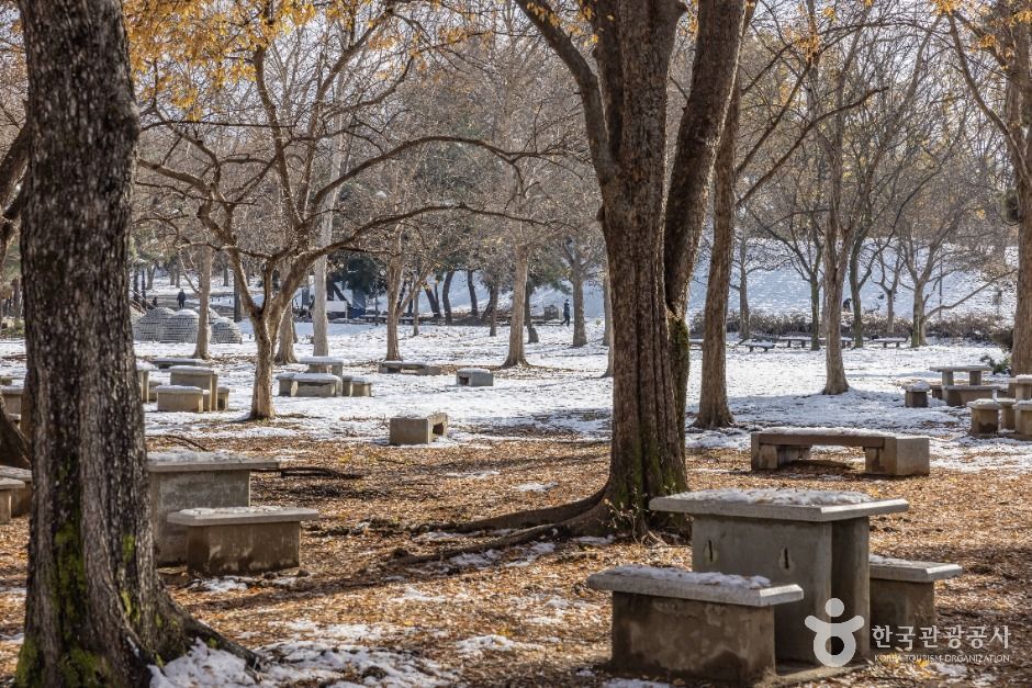 서울송파_올림픽공원피크닉장 (7)