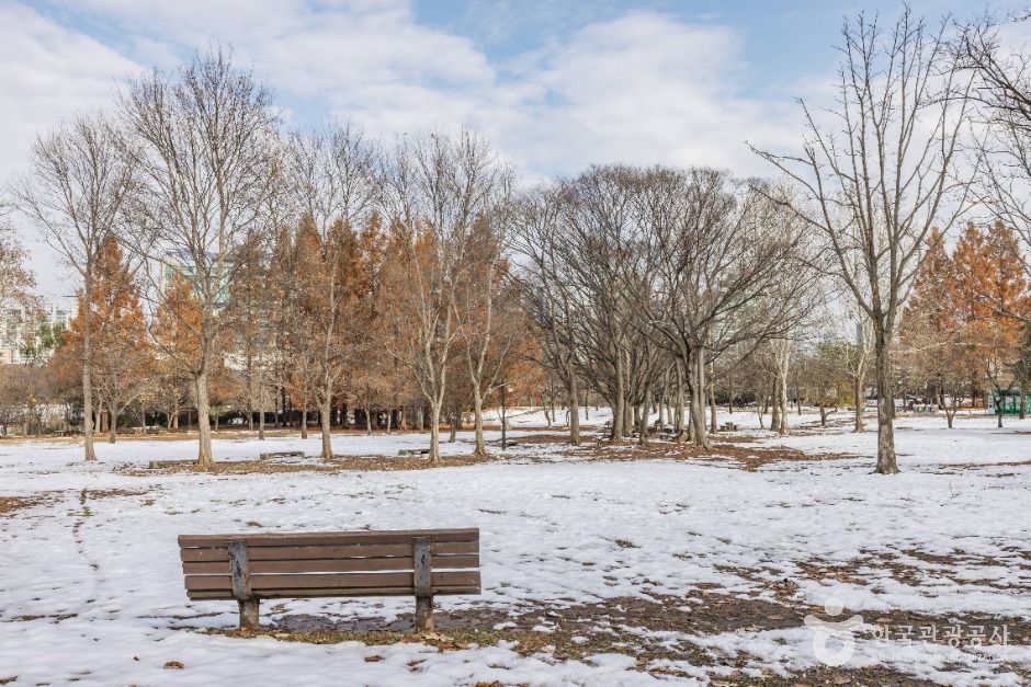 서울송파_올림픽공원피크닉장 (9)