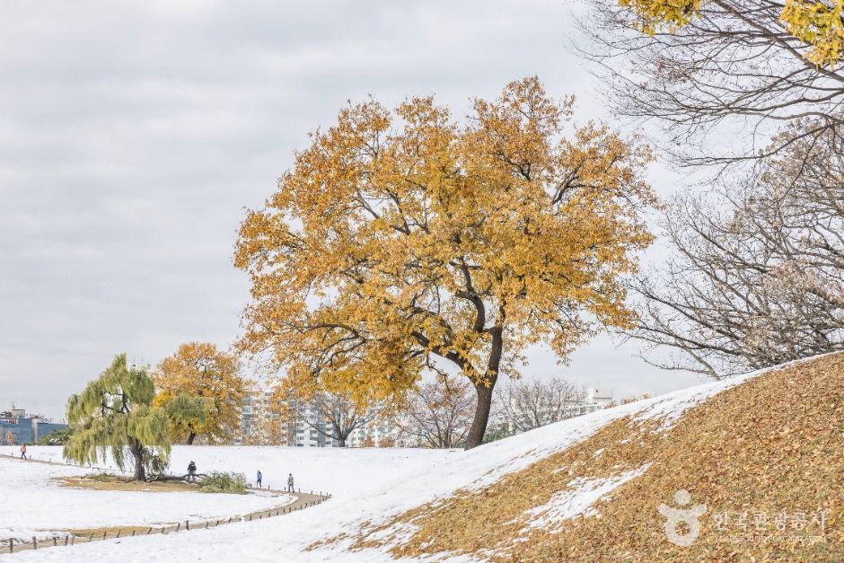 서울송파_올림픽공원피크닉장 (10)