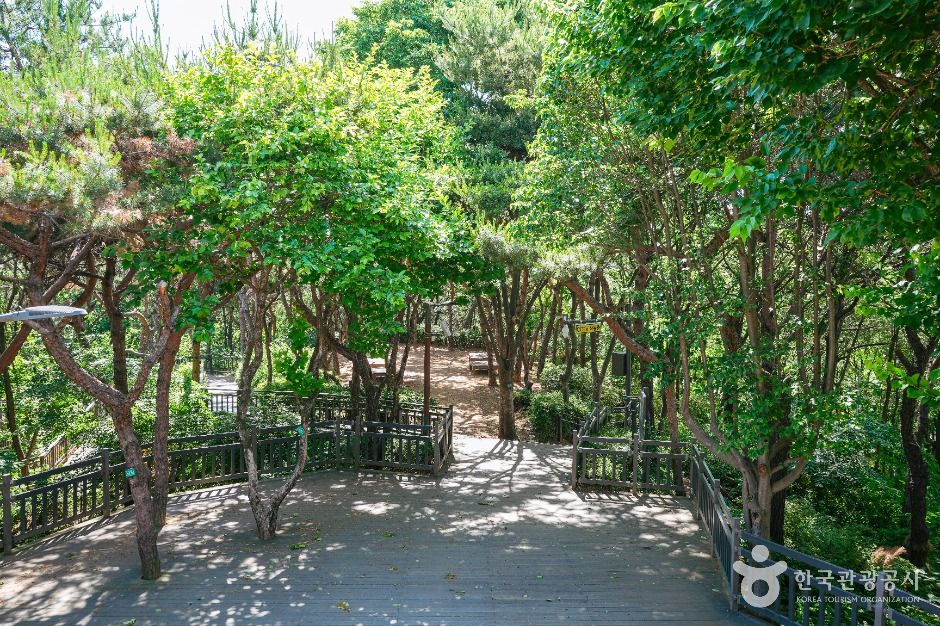 서울_용왕정 (1)