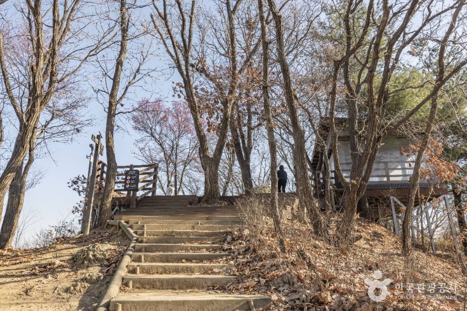 서울서초_우면산 소망탑 전망대 (6)