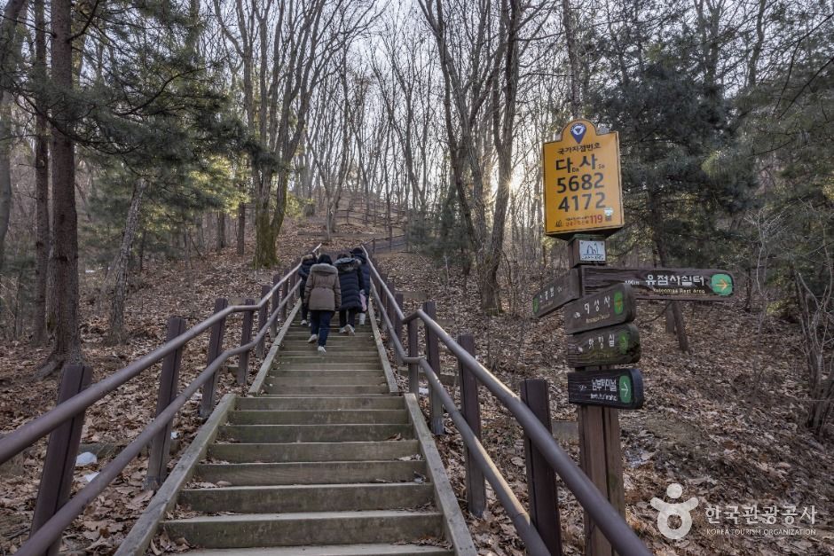 서울서초_우면산 소망탑 전망대 (7)
