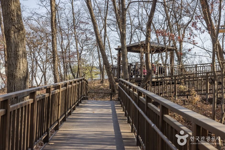 서울서초_우면산 소망탑 전망대 (8)