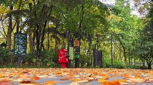 [서울둘레길 10코스] 우면산코스