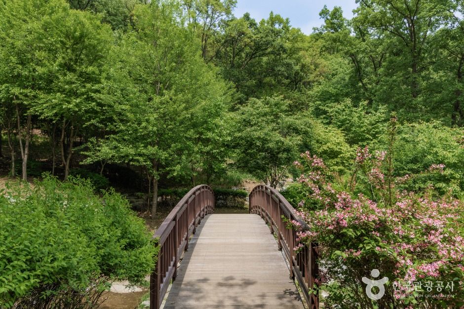 서울_우면산자연생태공원 (2)