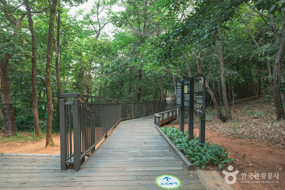 서울_우장산공원 (3)