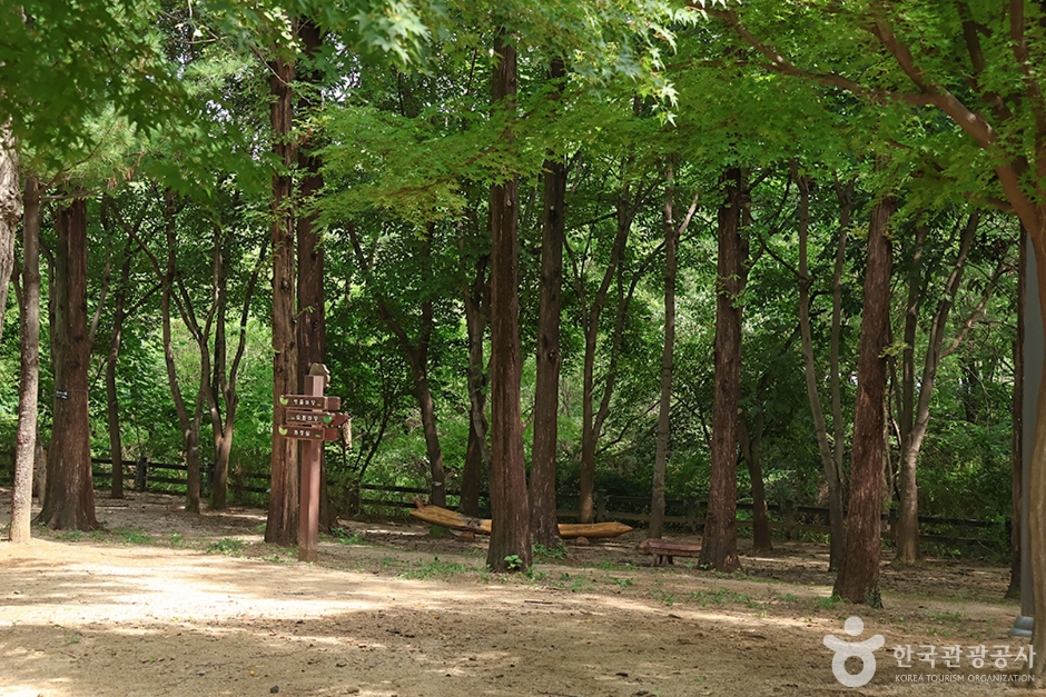 월드컵공원 유아숲체험원 (3)