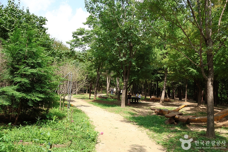 월드컵공원 유아숲체험원 (4)