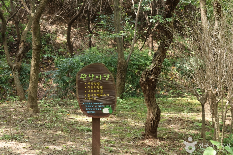 월드컵공원 유아숲체험원 (5)