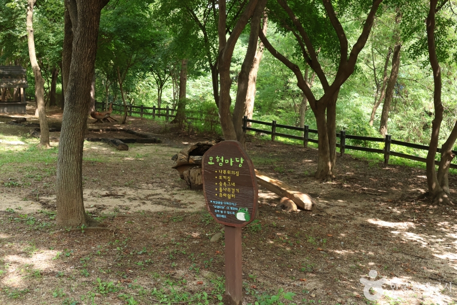 월드컵공원 유아숲체험원 (7)